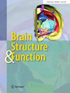 Brain Structure & Function杂志封面